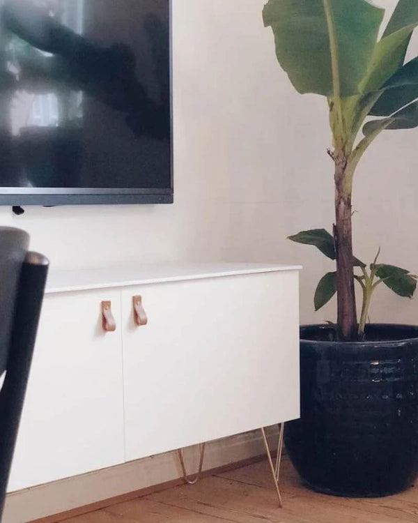 LOOP leather drawer pulls in cognac on a white TV cabinet with hairpin legs by a large green plant