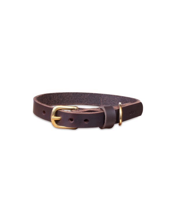 PAW16 leather dog collar from byRavn in dark brown leather with brass buckle and D-ring, slim design
