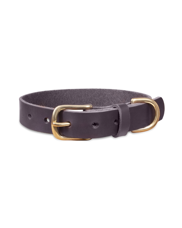 PAW25 leather dog collar from byRavn in dark brown full-grain leather with brass buckle and D-ring, 25 mm wide
